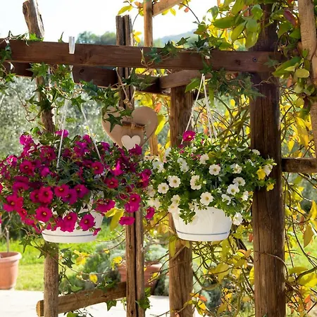 Vakantiehuis La Tancherina